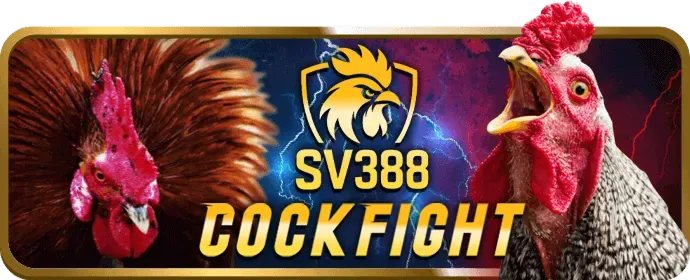 Cookie và công nghệ theo dõi tại 67win nhà cái